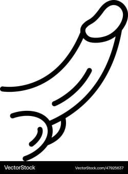 photo de faridnassar7