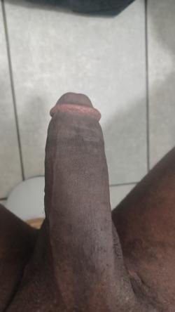 tinny45 picture