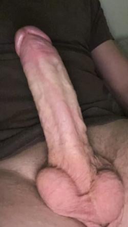 finnbwc26