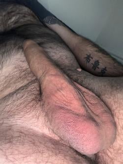 johnny20264518