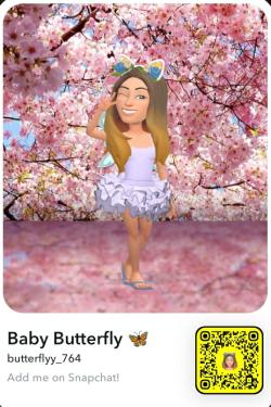butterflyy_764