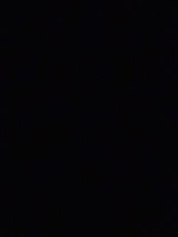 llj1233 picture