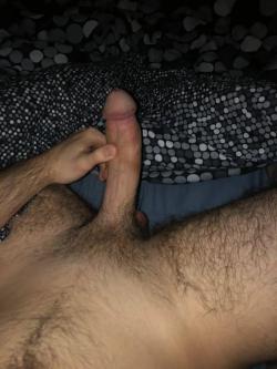 hamza_plkk
