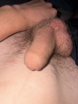 joshua_bltr