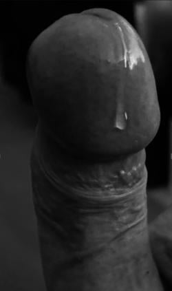 hungclemark