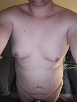 usersnapdowninthecomments