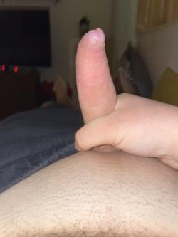nikos20267904