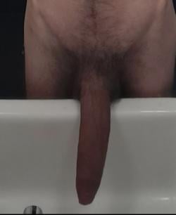 rinnyisahorse picture