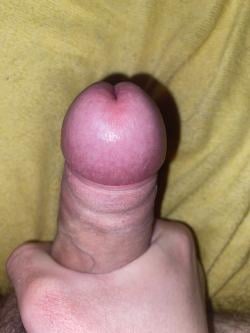 sff_t26 picture