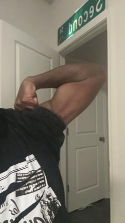 panda20267142