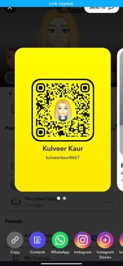 kulveerkaur8667