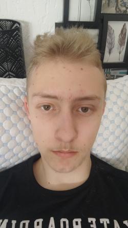 two.cocks