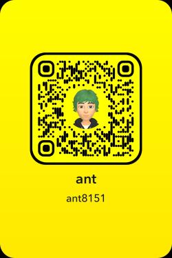 ant8151