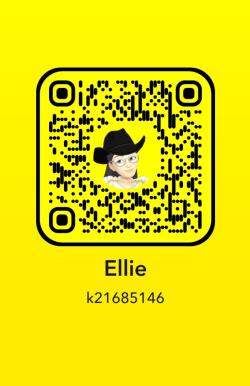 k21685146