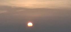 lggph123 picture
