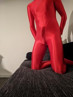 dutch_zentai picture
