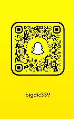 bigdic339
