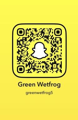 greenwetfrog5