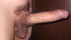 photo de furryhorny213