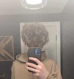 frostyalec