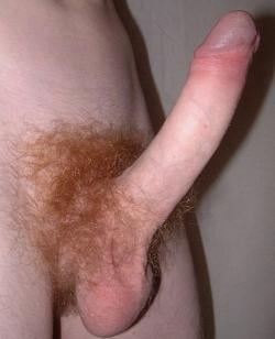 carter20255282 picture