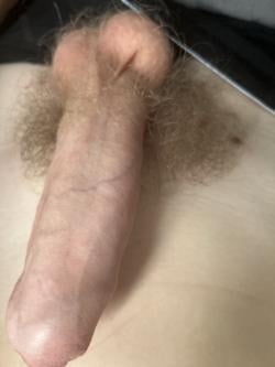 andrejonsen26