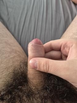 niko266581 picture