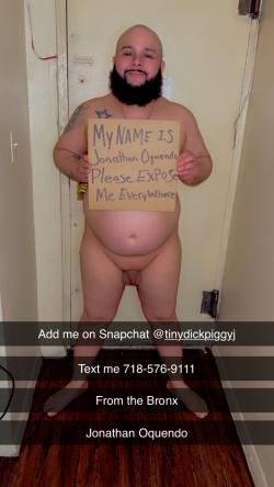 bigfatpiggy