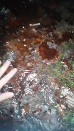 goodboy_read.bio picture