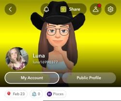 luna16990377