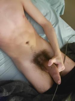 hornybiosc picture