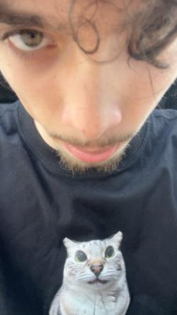 limerr picture