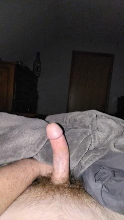 domv1210