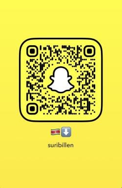 suribillen picture