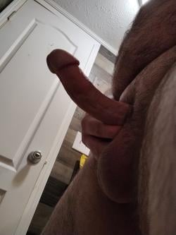 urbighairydork picture