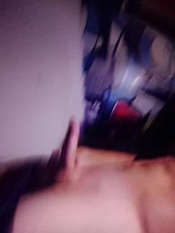 vashedd picture