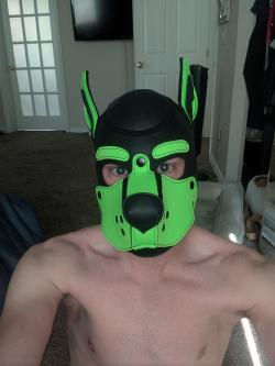 anonboi2026290