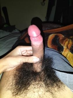 breder71829 picture