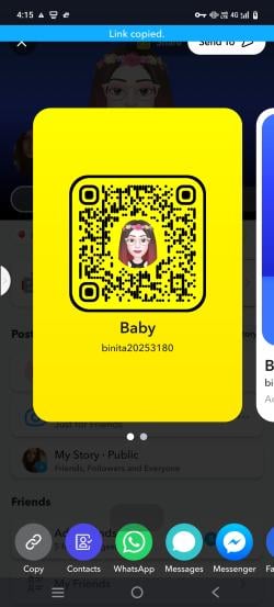 binita20253180