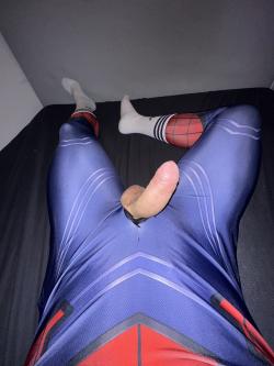 foto de boi_56x