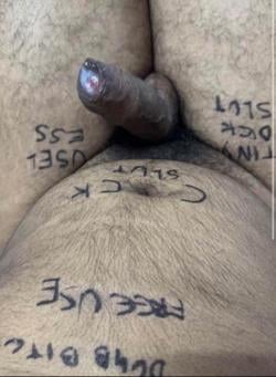 bmslav