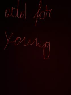 mathisse_vdj