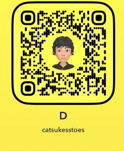 catsukesstoes-snap