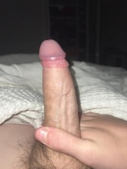 gabefredely676