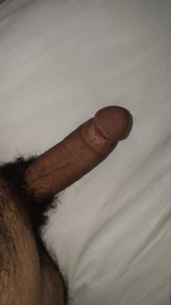 zaynkalil