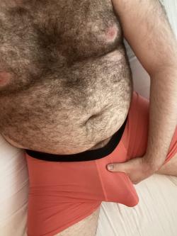 daddy20265286