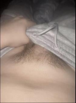 hasnbo