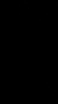 hasnbo picture