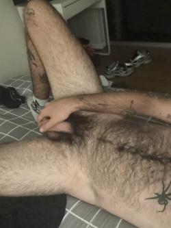 haz1996aus