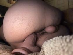 max_holo26